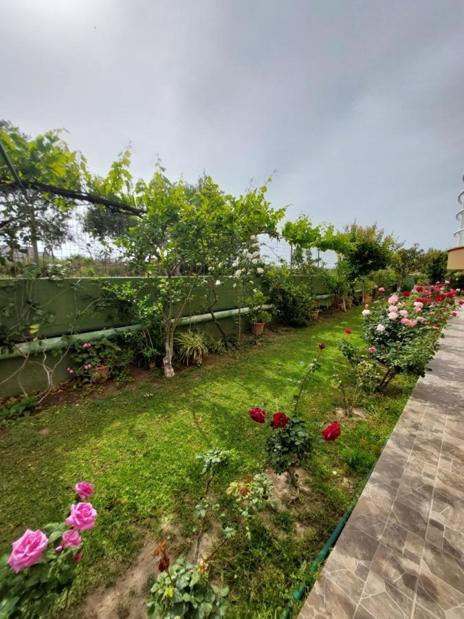 Alexia Apartments & Studios Kremastí المظهر الخارجي الصورة